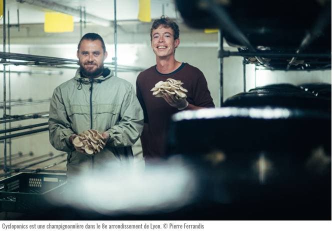 La Tanière des Gones - Production de champignons à Lyon